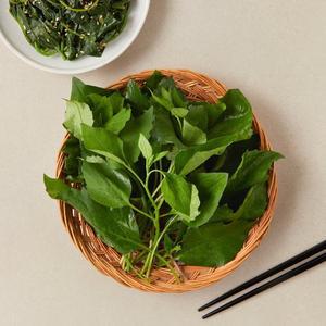 취나물 (150g)