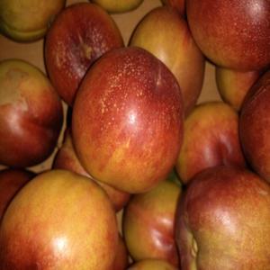 새콤달콤 천도복숭아 실중량 3kg/대과/특대과만 판매