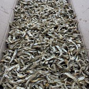 [명화씨푸드] 볶음 조림 큰가이리멸치 1.5kg