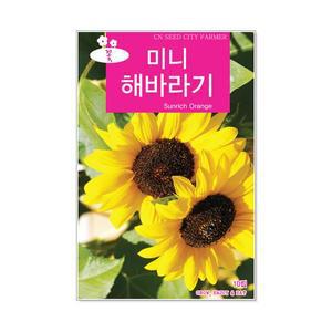 미니해바라기 10립 꽃씨앗
