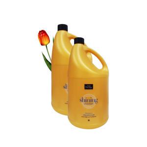 미쟝센 헤어테라피 샤이닝 모이스처 샴푸 4200ml 2개 수분가득,촉촉한,찰랑거리는