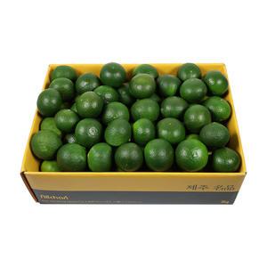 [삼다몰] 제주 청귤(풋귤) 3kg 5kg 10kg