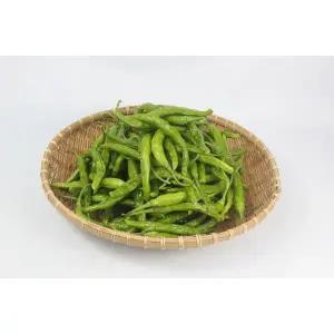 국내산 꽈리고추 특 2kg 야채맘