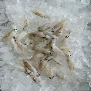 횟감용 생물 호래기 500g 내외 꼴뚜기 자연산 당일조업 회 무침 볶음 찜 급냉호래기 선택가능