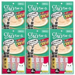 고양이 습식 간식 하부요로관리 4개입 6P 파우치 스틱 (WFH2RRC)