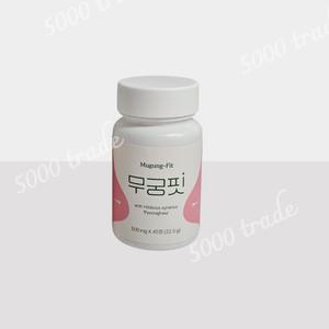 무궁핏 정 무궁화 평화 이너뷰티 케르세틴 카테킨 1개 (45정)