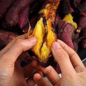 (농부마음)영암 토울고구마 꿀고구마 한입고구마 10kg(소소) 7092231