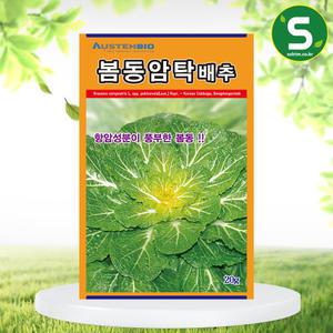 배추씨앗 봄동암탁배추 20g 월동재배 봄동