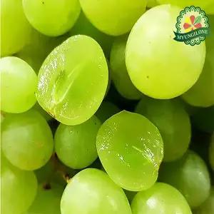 못난이 알알이 까멜리아 청포도 2kg+2kg