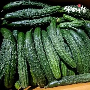 갤러리아 식탐대첩 국내산 못난이 가시오이 10kg