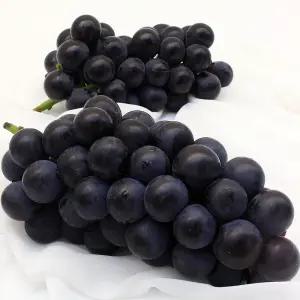 영천 김천 거봉 포도 2kg 3-4수입 가정용 김천포도 논산포도 햇포도 씨없는포도 왕포도 적포도 햇포도