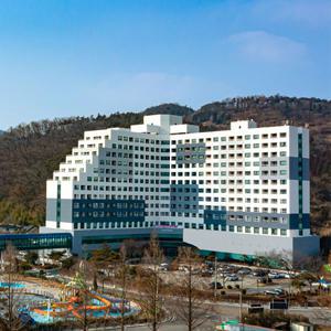 [LIVE11]금호리조트 화순/통영/설악/제주/아산스파포레  룸온리/2인/3인/4인패키지