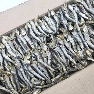 햇 다시멸치 1.5kg 실속형 식자재용 육수용 국물용