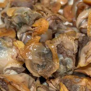 벌교 새꼬막 냉동 자숙꼬막 1kg 소 중 대 여자만 알꼬막 선택