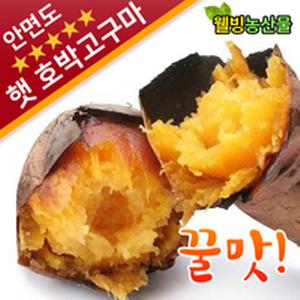 2024안면도 햇호박고구마/꿀고구마 5kg,3kg