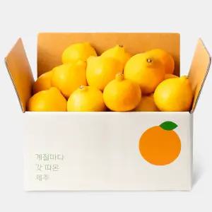 [깨비농원] 제주 황금향 3kg 가정용