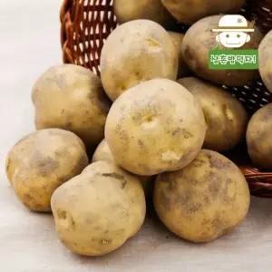 25년 수확한 속깊은 꿀맛 햇 수미감자(중) 10kg