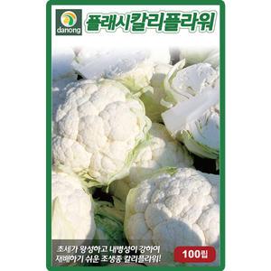 다농 플래시칼리플라워 씨앗 100립 조생종 꽃양배추 브로콜리씨 종자