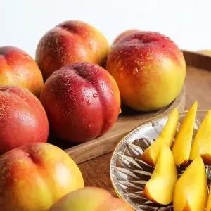 [산지발송] 새콤달콤 경북 천도복숭아 5kg