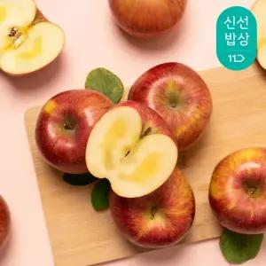 [품질보장] 25년 수확! 홍로 햇 사과 가정용 특품 2.5kg 4kg