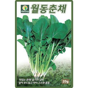 다농 월동춘채 씨앗 20g 월동채소 춘채 순무유채씨 종자