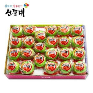 갤러리아 [산들네] 껍질째 먹는 경북 아오리 세척사과 4.5kg 29과내외
