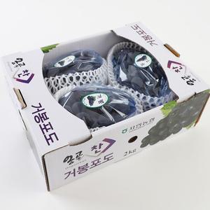 [오감프룻]꿀당도 달콤한과육 국내산 산지직송 거봉포도 특품2kg(3수)