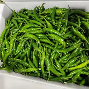 고추 국산 청양고추 상 5kg 야채맘