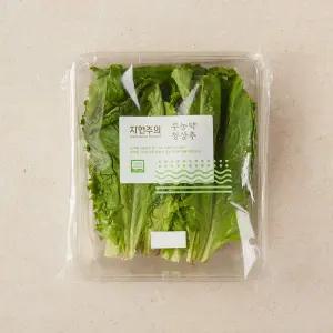 친환경 청상추 150g
