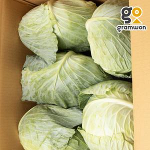양배추 9KG(3-6통) 낱개 국내산