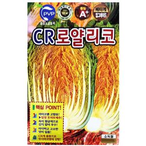 CR 로얄 리코 배추씨앗 100립 김장 황금 배추씨 종자