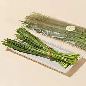 평창 고랭지 부추 200g
