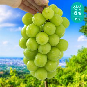 [품질보장] 2025년 수확 하우스 샤인머스켓 2kg 4수 / 에어셀 포장