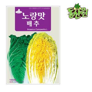 노랑맛배추씨앗 1000립 속노란배추종자 채소씨앗