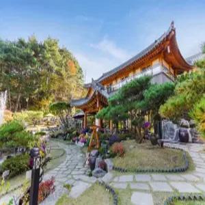[충남 펜션] 공주 솔향펜션 (공주,동학사,세종)