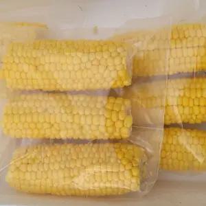 무주 손질 초당옥수수 중품 [12~14cm] - 20개