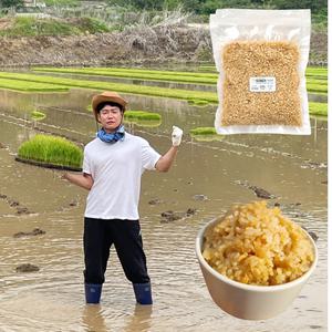 오분도미 쌀 오분도쌀 5분도미 2024년 햅쌀 황미쌀 당일도정 삼시세끼 진공포장 쌀리버리