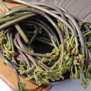 산 좋고 물 좋은 하동 삶은고사리 150g x 5팩