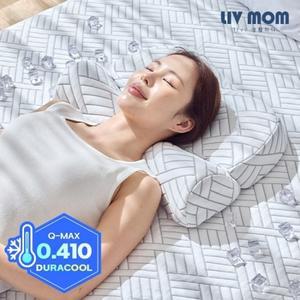 리브맘 메모리폼 아이스쿨링 냉감 바른자세 경추베개