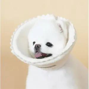 핥는 습관 교정 수술 상처 회복 오가넥 넥카라 M 댕댕이위생용품 애완견목보호