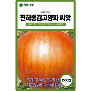 산들마켓 천하중갑고 양파씨앗 1500립 재배 쉽고 갑고형의 다수확 품종 중만생종 양파씨 종자