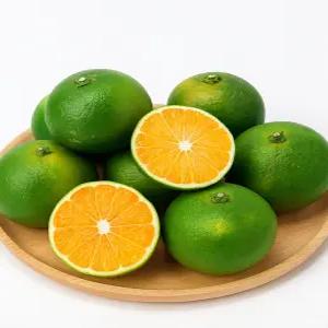 제주 바람 담은 상큼한 청귤 풋귤 10kg 박스