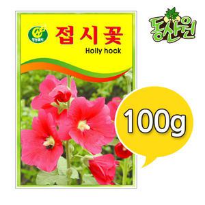 대용량 꽃씨 접시꽃씨앗 100g 조경용 꽃종자