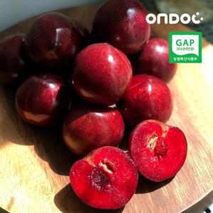 갤러리아 [온도씨]GAP인증 김천 피자두 2.5kg (왕특)
