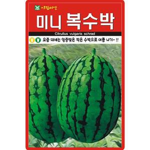 아람종묘 미니복수박 씨앗 5립 조생종 작은 수박씨 종자