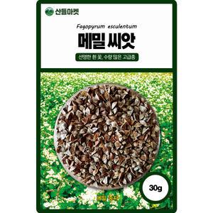 산들마켓 메밀 씨앗 30g 선명한 흰꽃 수량많은 고급 품종