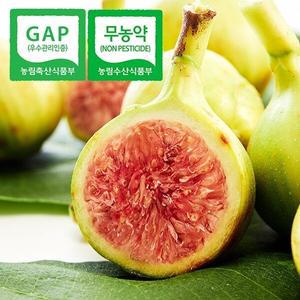 [웰굿][무농약] 웰굿 GAP인증 당일수확 전남 고당도 청 무화과 1kg(14-18과)