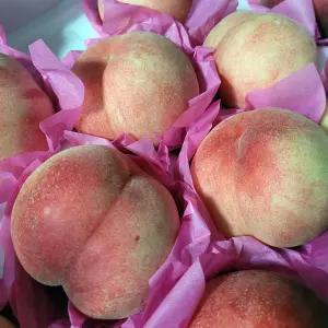 가정용 경북 백도 복숭아 4kg 21-25과 소과 딱 딱복 숭아 물복 숭아 딱딱한복숭아 물렁한복숭아 말랑복숭아