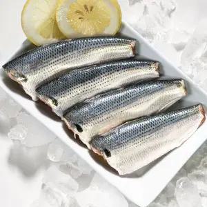 통영 자연산 전어 횟감용 손질전어 전어회 1kg (손질후 500g)