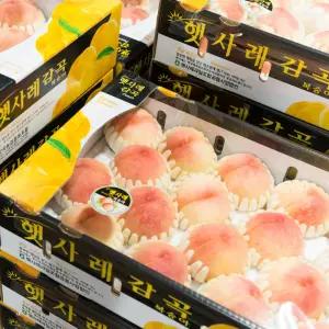 고당도 감곡 햇사레 백도 말랑이 말랑 복숭아 4kg